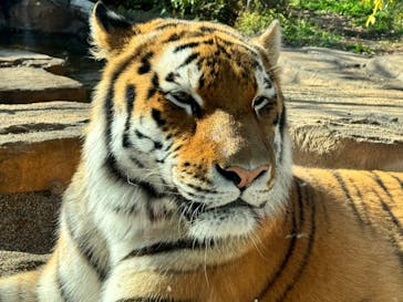 那須どうぶつ王国に投稿された画像（2023/11/12）