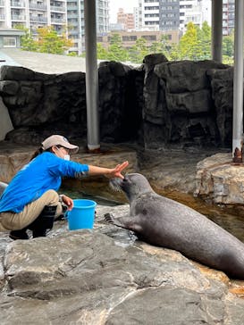 しながわ水族館に投稿された画像（2023/11/12）