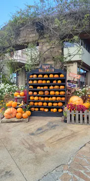 ひらかたパークに投稿された画像（2023/11/12）