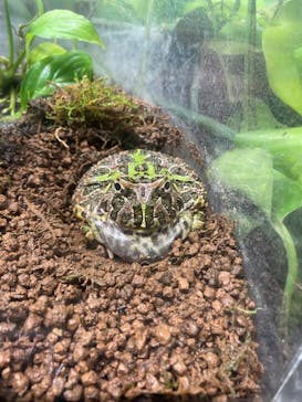 サンシャイン水族館に投稿された画像（2023/11/12）