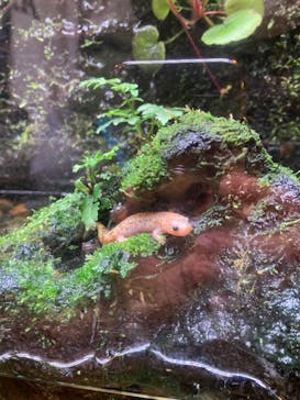 環境水族館アクアマリンふくしまに投稿された画像（2023/11/12）