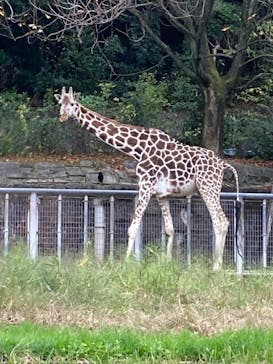 名古屋市東山動植物園に投稿された画像（2023/11/12）