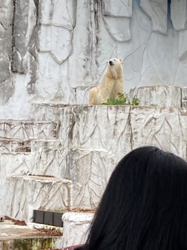 名古屋市東山動植物園に投稿された画像（2023/11/12）