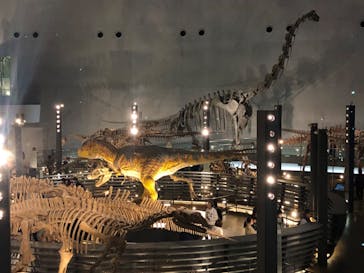 福井県立恐竜博物館に投稿された画像（2023/11/12）