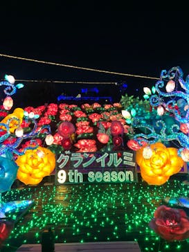 伊豆ぐらんぱる公園に投稿された画像（2023/11/12）