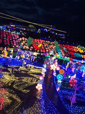 伊豆ぐらんぱる公園に投稿された画像（2023/11/12）