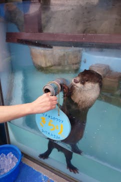 ゼロ距離水族館 伊勢シーパラダイスに投稿された画像（2023/11/12）