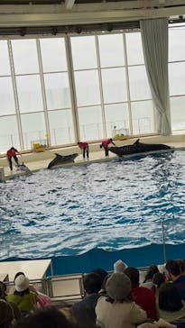 アクアワールド茨城県大洗水族館に投稿された画像（2023/11/12）