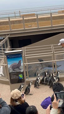 アクアワールド茨城県大洗水族館に投稿された画像（2023/11/12）
