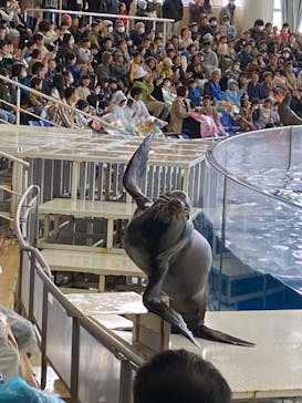 アクアワールド茨城県大洗水族館に投稿された画像（2023/11/12）