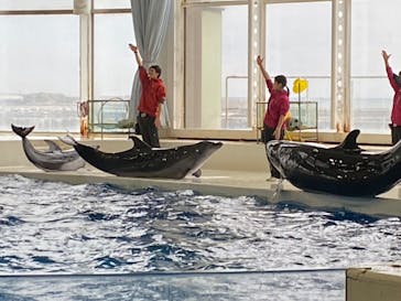 アクアワールド茨城県大洗水族館に投稿された画像（2023/11/12）