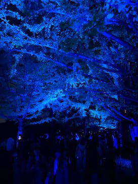 国営昭和記念公園 秋の夜散歩に投稿された画像（2023/11/12）