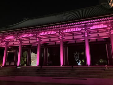 博多ライトアップウォーク実行委員会に投稿された画像（2023/11/12）