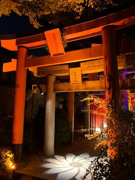 博多ライトアップウォーク実行委員会に投稿された画像（2023/11/12）