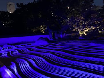 博多ライトアップウォーク実行委員会に投稿された画像（2023/11/12）