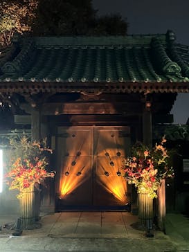 博多ライトアップウォーク実行委員会に投稿された画像（2023/11/12）