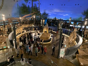 福井県立恐竜博物館に投稿された画像（2023/11/12）