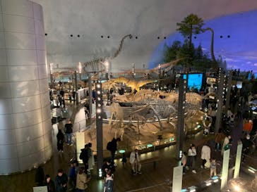 福井県立恐竜博物館に投稿された画像（2023/11/12）