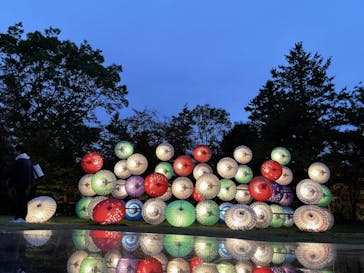 国営昭和記念公園 秋の夜散歩に投稿された画像（2023/11/12）