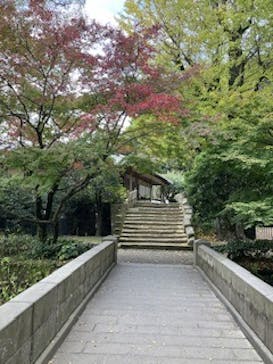 仙巌園に投稿された画像（2023/11/12）