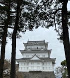 小田原城に投稿された画像（2023/11/12）