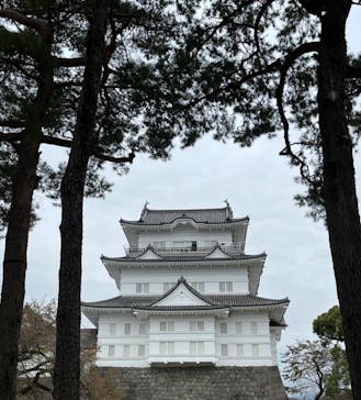 小田原城に投稿された画像（2023/11/12）