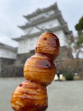 小田原城に投稿された画像（2023/11/12）