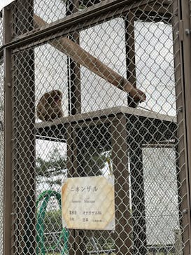 小田原城に投稿された画像（2023/11/12）