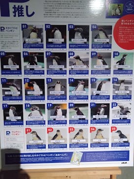 AOAO SAPPOROに投稿された画像（2023/11/12）