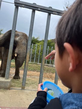 しろとり動物園に投稿された画像（2023/11/12）