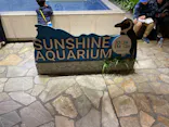 サンシャイン水族館に投稿された画像（2023/11/12）