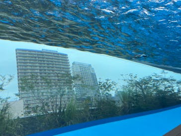 サンシャイン水族館に投稿された画像（2023/11/12）