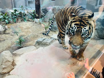 名古屋市東山動植物園に投稿された画像（2023/11/12）