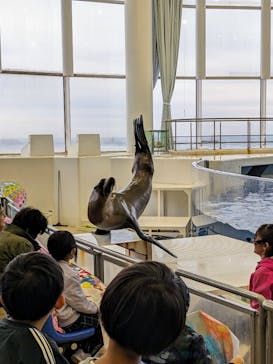 アクアワールド茨城県大洗水族館に投稿された画像（2023/11/12）