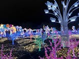 伊豆ぐらんぱる公園に投稿された画像（2023/11/12）