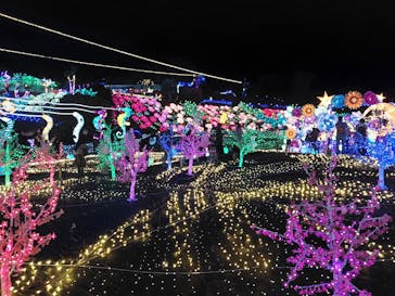 伊豆ぐらんぱる公園に投稿された画像（2023/11/12）