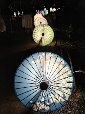 国営昭和記念公園 秋の夜散歩に投稿された画像（2023/11/12）