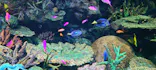 サンシャイン水族館に投稿された画像（2023/11/12）