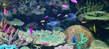 サンシャイン水族館に投稿された画像（2023/11/12）