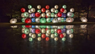 国営昭和記念公園 秋の夜散歩に投稿された画像（2023/11/12）