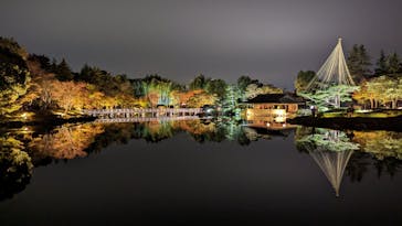 国営昭和記念公園 秋の夜散歩に投稿された画像（2023/11/12）