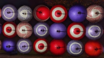 国営昭和記念公園 秋の夜散歩に投稿された画像（2023/11/12）