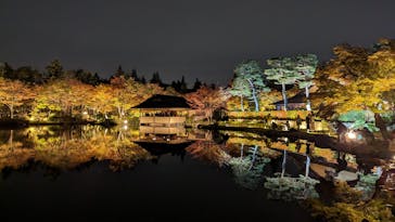 国営昭和記念公園 秋の夜散歩に投稿された画像（2023/11/12）
