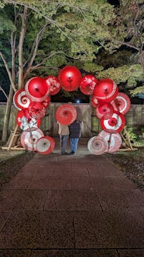 国営昭和記念公園 秋の夜散歩に投稿された画像（2023/11/12）