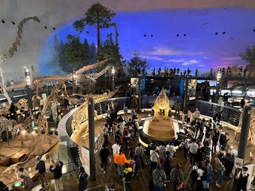 福井県立恐竜博物館に投稿された画像（2023/11/12）