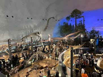 福井県立恐竜博物館に投稿された画像（2023/11/12）