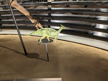 福井県立恐竜博物館に投稿された画像（2023/11/12）