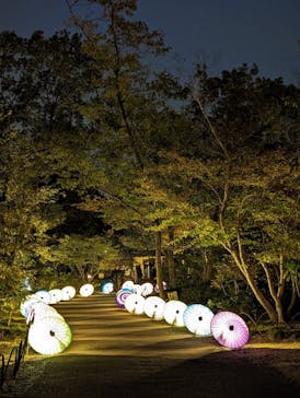 国営昭和記念公園 秋の夜散歩に投稿された画像（2023/11/12）