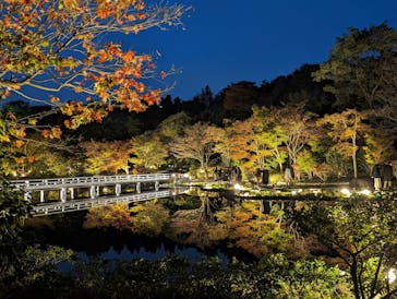 国営昭和記念公園 秋の夜散歩に投稿された画像（2023/11/12）