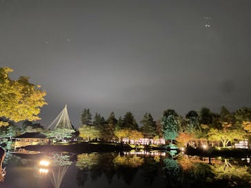 国営昭和記念公園 秋の夜散歩に投稿された画像（2023/11/12）